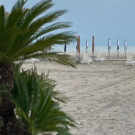 Vega * Mamaia