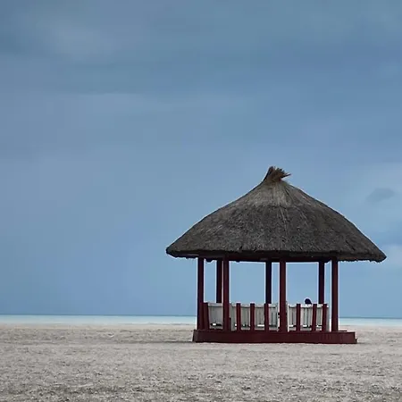 Vega * Mamaia